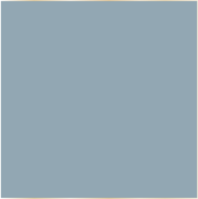 OCEAN DS111