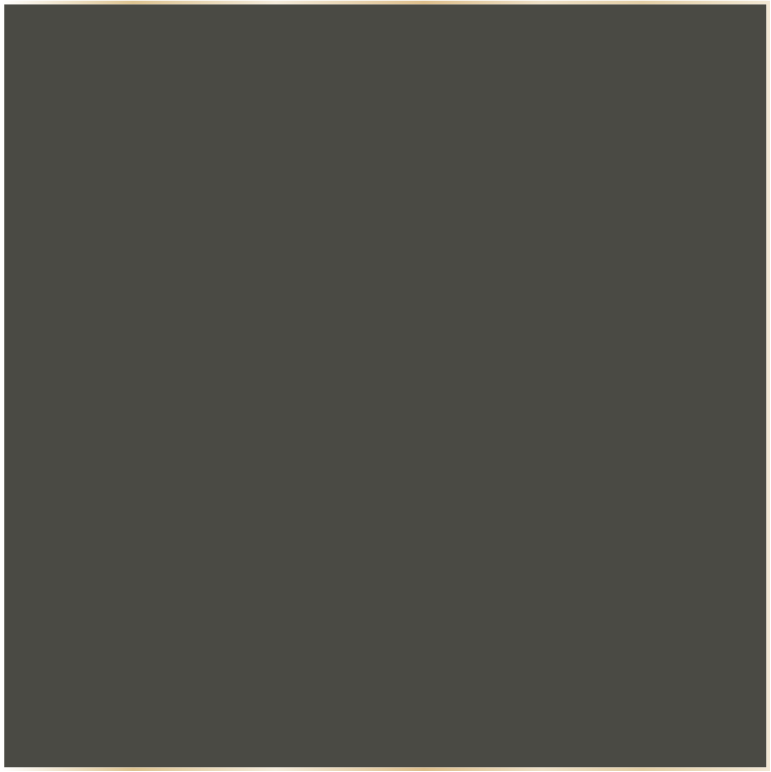 SLATE DS113