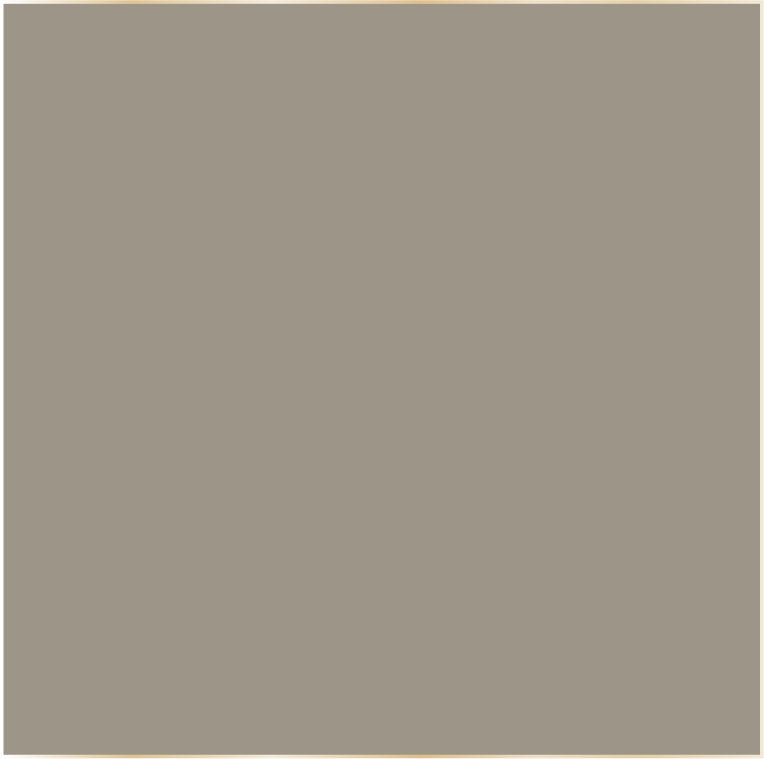 MOCHA DS109