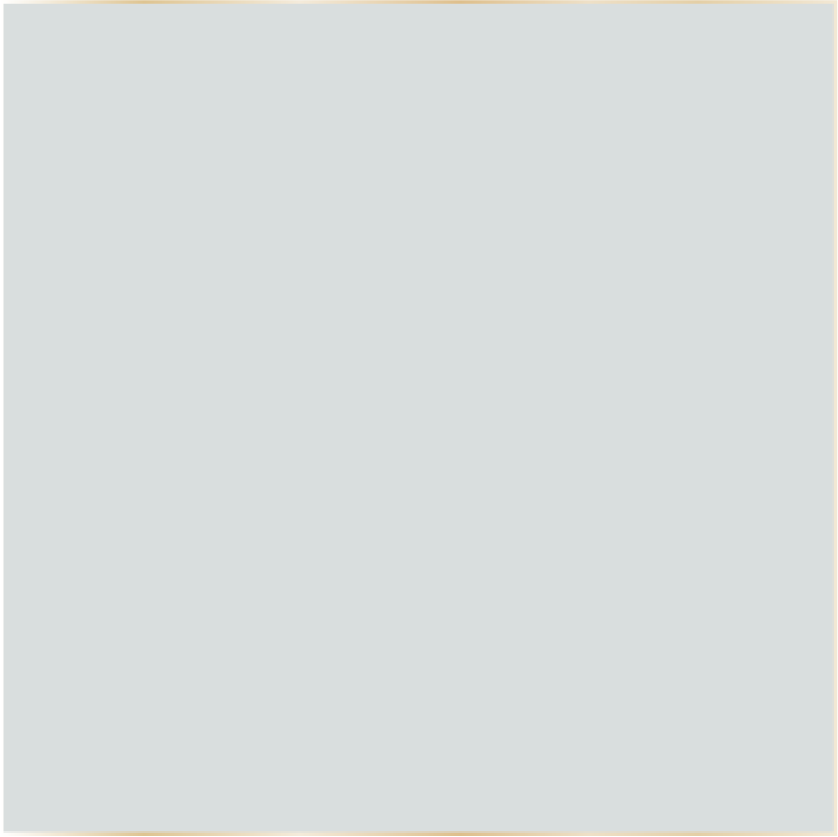 IVORY DS106