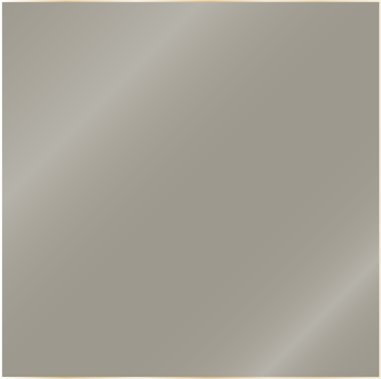 STONE DS206
