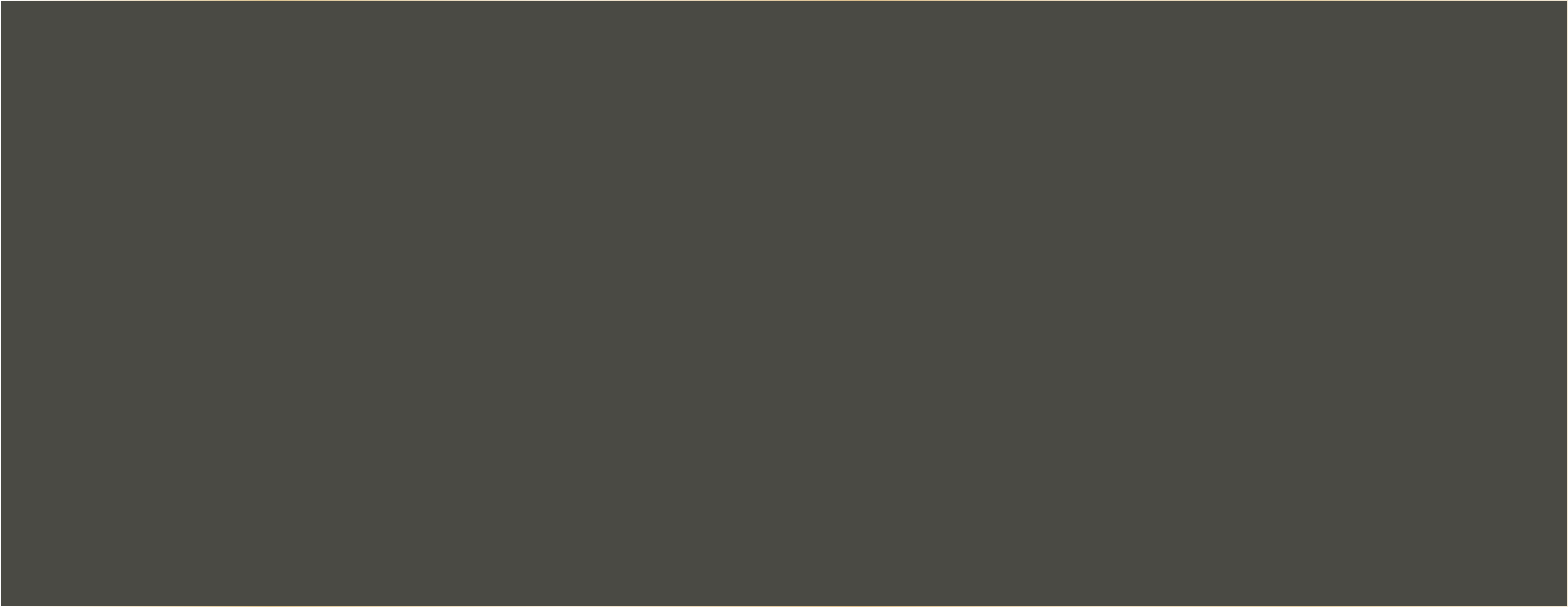 SLATE DS113