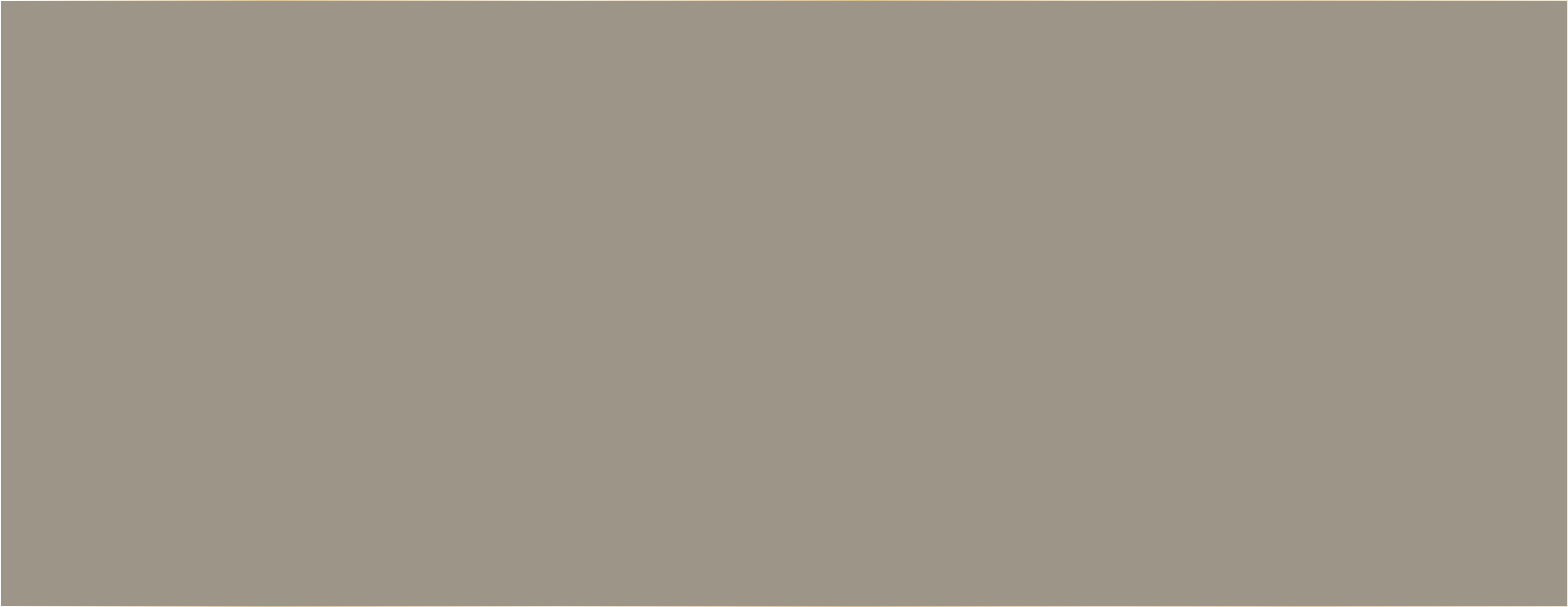 MOCHA DS109