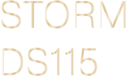 STORM DS115