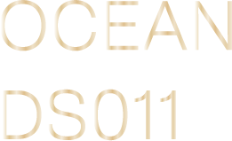 OCEAN DS111