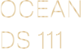 OCEAN DS111